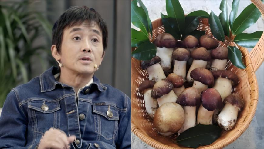胡静老公年轻时颜值,2O24香港管家婆一码一肖资料,决策资料解释落实_完整版V7.99