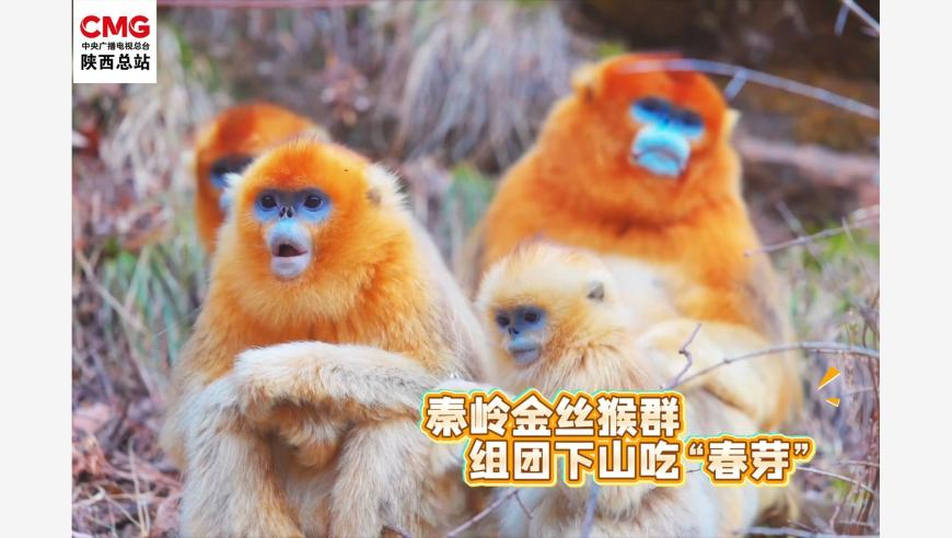 新奥门今晚开奖结果直播,美国对多国关税具体税率出炉,最新核心解答落实_基础版V14.100