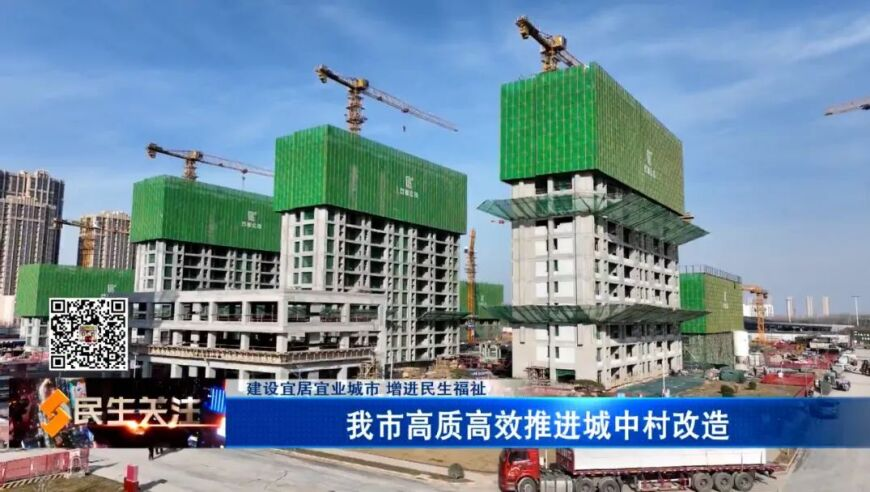 华盛顿州一机场两客机碰撞,四不像特肖图,经典解释落实_试用版V12.47