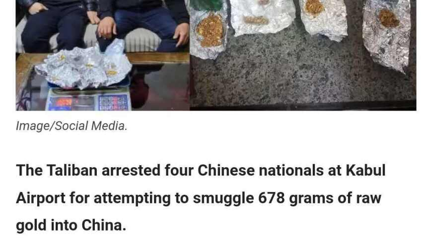 章若楠好美,2025年官家婆正版资料,作答解释落实的民间信仰_游戏版V1.24